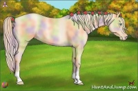 Horse Color:Nacre Gold Champagne Pearl 