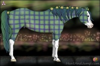 Horse Color:Watercolor Plaid  Bay Splash 