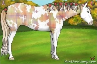 Horse Color:Nacre Plaid  White Spotted Gold Champagne Splash 