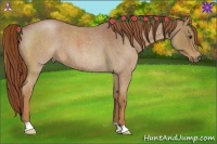Horse Color:Red Roan 