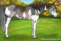 Horse Color:Brown Splash