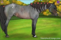 Horse Color:Brown Roan Blanket 
