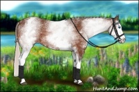 Horse Color:White Spotted Silver Bay Splash 