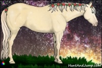 Horse Color:Gold Cream Champagne Dun