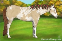 Horse Color:Red Dun Ice Sabino 