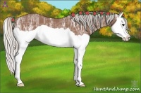 Horse Color:Silver Bay Ice Splash 