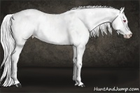 Horse Color:White Spotted Silver Smoky Creme Chinchilla Onyx 