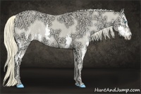 Horse Color:Perlino Ice Sabino Splash  Brindle