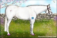 Horse Color:White Spotted Silver Buckskin 