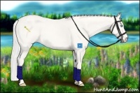 Horse Color:White Spotted Silver Perlino