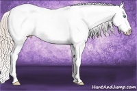 Horse Color:Chocolate Palomino Pearl Sabino Appaloosa