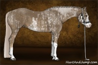 Horse Color:Chocolate Palomino Sabino and Chocolate Palomino Sabino