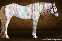 Horse Color:Liver Chestnut Ice 