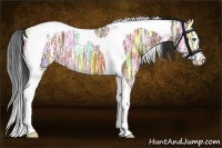 Horse Color:Bay Ice Splash Tobiano 