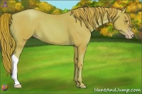 Horse Color:Watercolor Gold Champagne