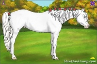 Horse Color:Silver Amber Cream Champagne Dun Sabino Appaloosa 
