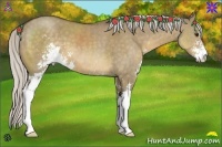 Horse Color:Silver Buckskin Dun Sabino 