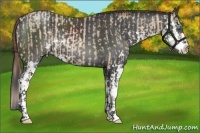 Horse Color:Buckskin Pearl Sabino  and Smoky Black Sabino 