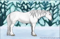 Horse Color:White Spotted Silver Bay Chinchilla Dun Sabino