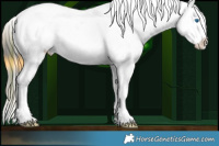 Horse Color:Plaid  Buckskin Sabino Splash Snowflake Varnish 
