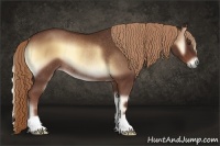 Horse Color:Red Onyx Rabicano