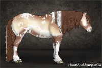 Horse Color:White Spotted Brown Pearl Onyx