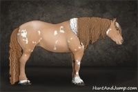 Horse Color:White Spotted Brown Pearl Sabino 