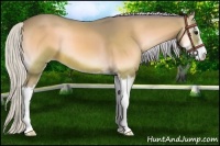 Horse Color:Watercolor Silver Buckskin Onyx Sabino