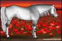 Horse Color:White Spotted Silver Buckskin Chinchilla Onyx 