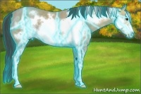 Horse Color:Thunderstruck Classic Champagne Ice Frame 