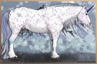 Horse Color:Watercolor Bay Roan Dun Appaloosa 