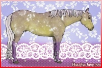 Horse Color:Watercolor White Spotted Silver Bay 