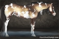 Horse Color:White Spotted Liver Red Onyx Sabino 