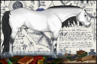 Horse Color:Brown Chinchilla Onyx 