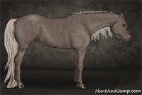 Horse Color:Silver Black  Brindle