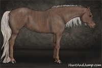 Horse Color:Silver Black  Brindle