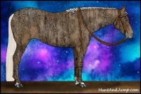 Horse Color:Chocolate Silver Bay Ice Pearl and Chocolate Silver Bay Ice Pearl