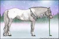 Horse Color:Silver Black Appaloosa  and Silver Black Appaloosa 