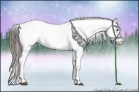 Horse Color:Black Snowcap  and Black Snowcap 