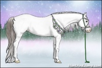 Horse Color:Black Varnish Rabicano 