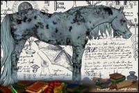 Horse Color:ERROR: UNKNOWN ANOMALY and ERROR: UNKNOWN ANOMALY