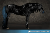 Horse Color:ERROR: UNKNOWN ANOMALY and ERROR: UNKNOWN ANOMALY