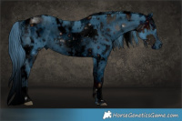 Horse Color:ERROR: UNKNOWN ANOMALY and ERROR: UNKNOWN ANOMALY