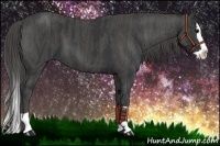 Horse Color:Black Splash  Brindle