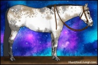 Horse Color:Grullo Frame Brindle and Brown Dun Frame Brindle