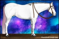 Horse Color:Watercolor White Spotted Black Pearl and Watercolor White Spotted Black Pearl