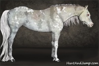 Horse Color:White Spotted Chocolate Silver Grullo Chinchilla Ice Sabino Brindle and White Spotted Chocolate Silver Grullo Chinchilla Ice Sabino Brindle