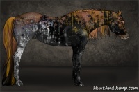 Horse Color:ERROR: UNKNOWN ANOMALY and ERROR: UNKNOWN ANOMALY