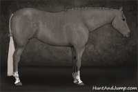 Horse Color:Silver Black and Silver Black