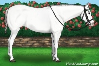 Horse Color:Black Appaloosa  and Black Appaloosa 